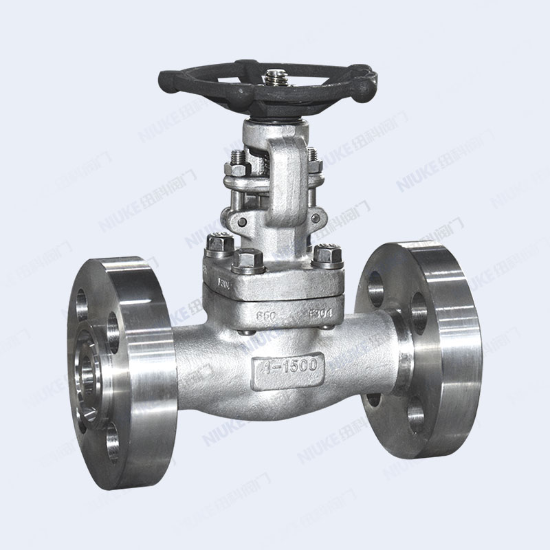 整体锻法兰闸阀