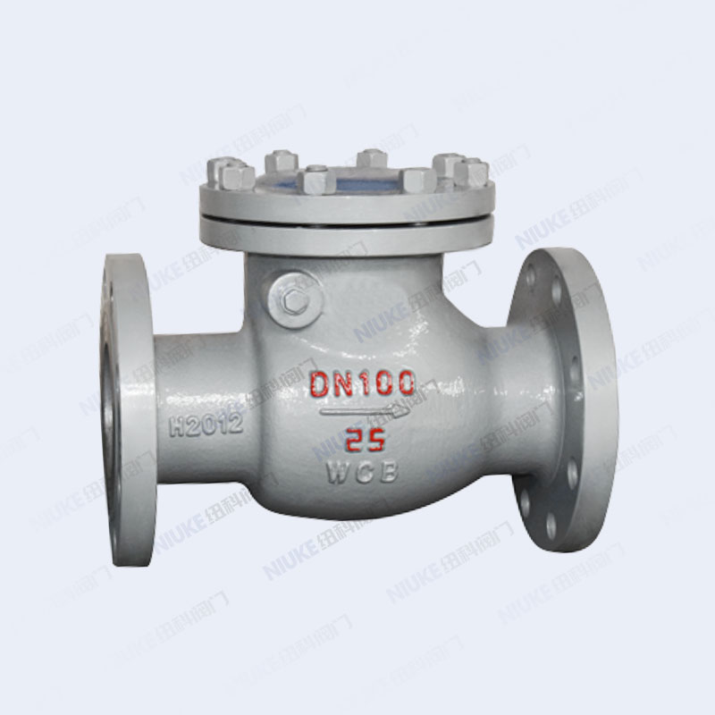 国标旋启式止回阀